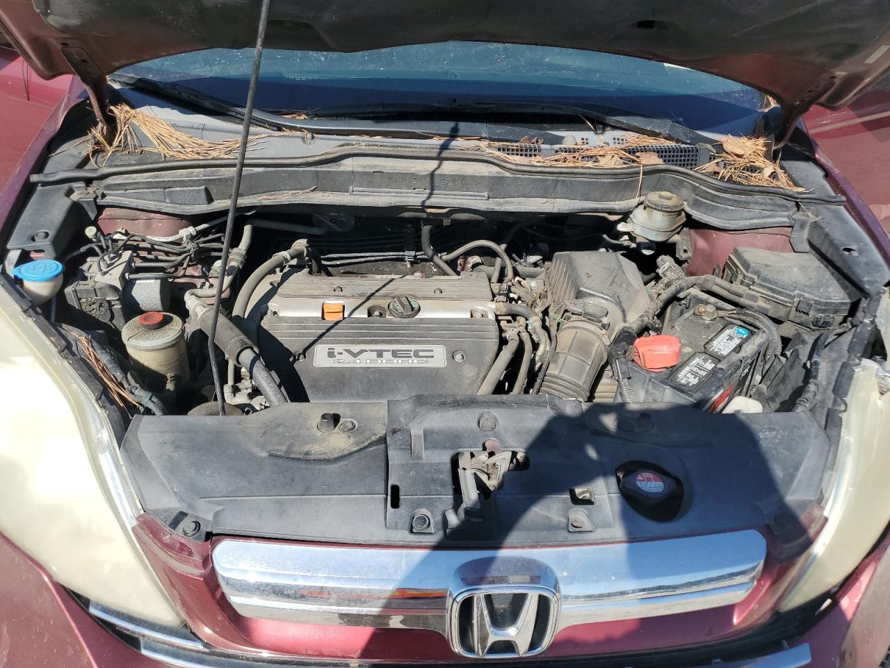 2008 Honda Cr-V Ex VIN: 5J6RE48518L014414 Lot: 81697425