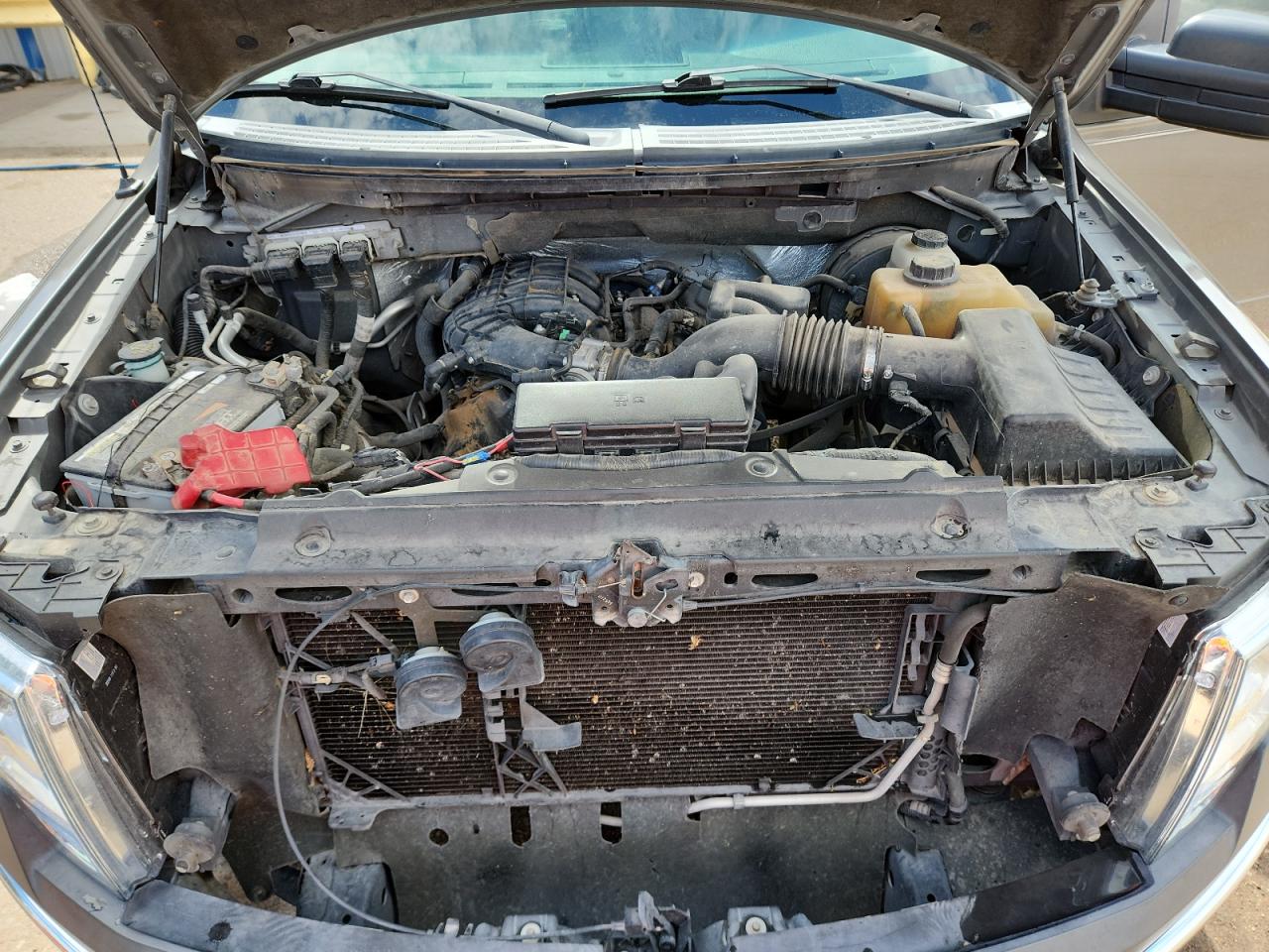 2011 Ford F150 Supercrew VIN: 1FTEW1CM7BFB84202 Lot: 81155925