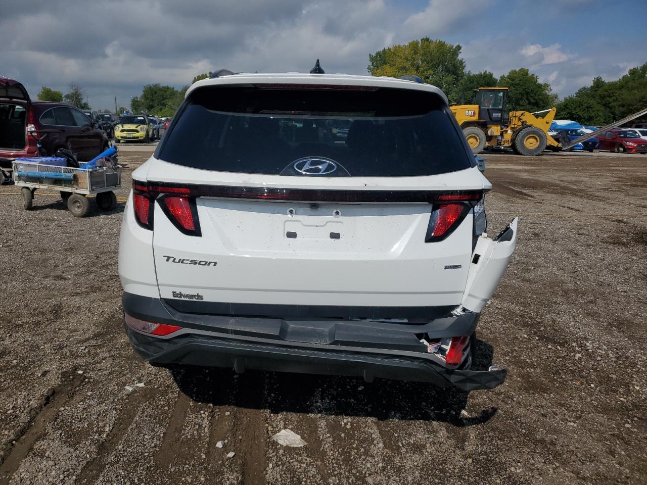 2024 Hyundai Tucson Sel VIN: 5NMJBCDE4RH401229 Lot: 81184435