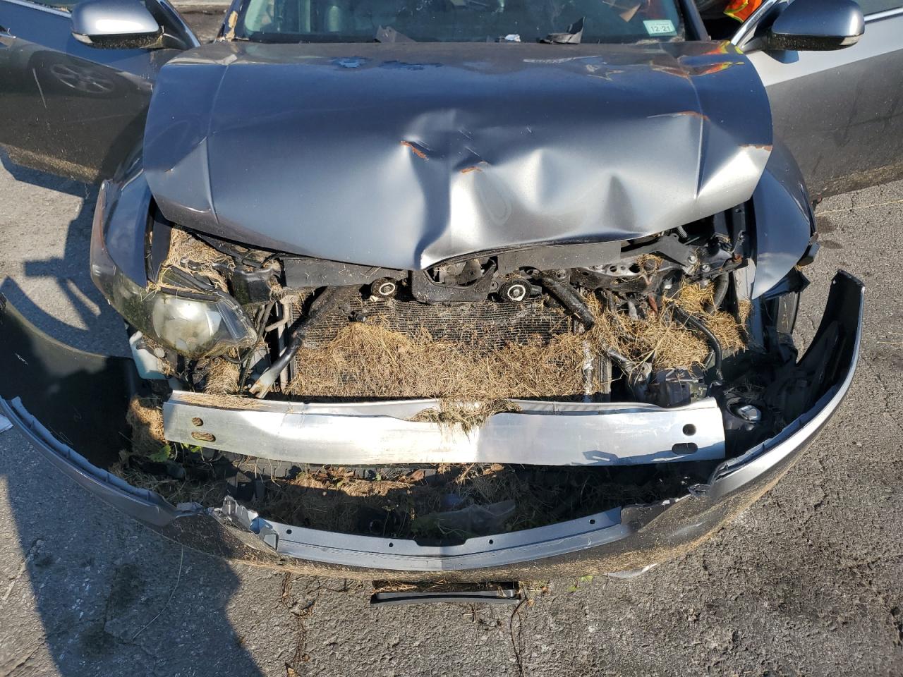 2009 Acura Tsx VIN: JH4CU26609C022521 Lot: 80923755