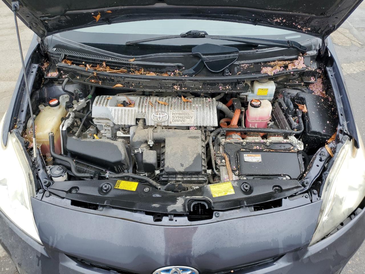 2014 Toyota Prius VIN: JTDKN3DU3E0384095 Lot: 81278695