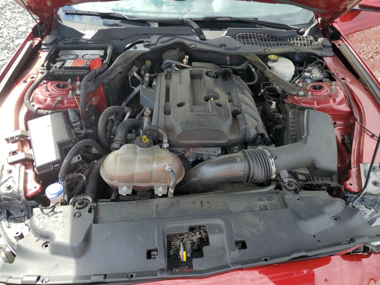 2020 Ford Mustang VIN: 1FATP8UHXL5127441 Lot: 82107025