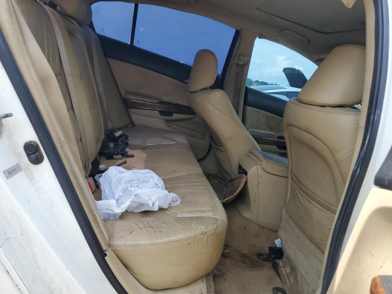 2011 Honda Accord Exl VIN: 5KBCP3F84BB003187 Lot: 81081465