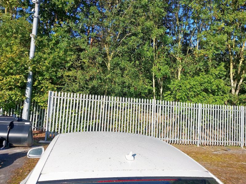 2010 AUDI A5 S LINE TDI 