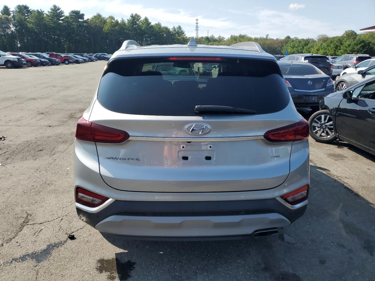 2020 Hyundai Santa Fe Sel VIN: 5NMS3CAD3LH266376 Lot: 71310805