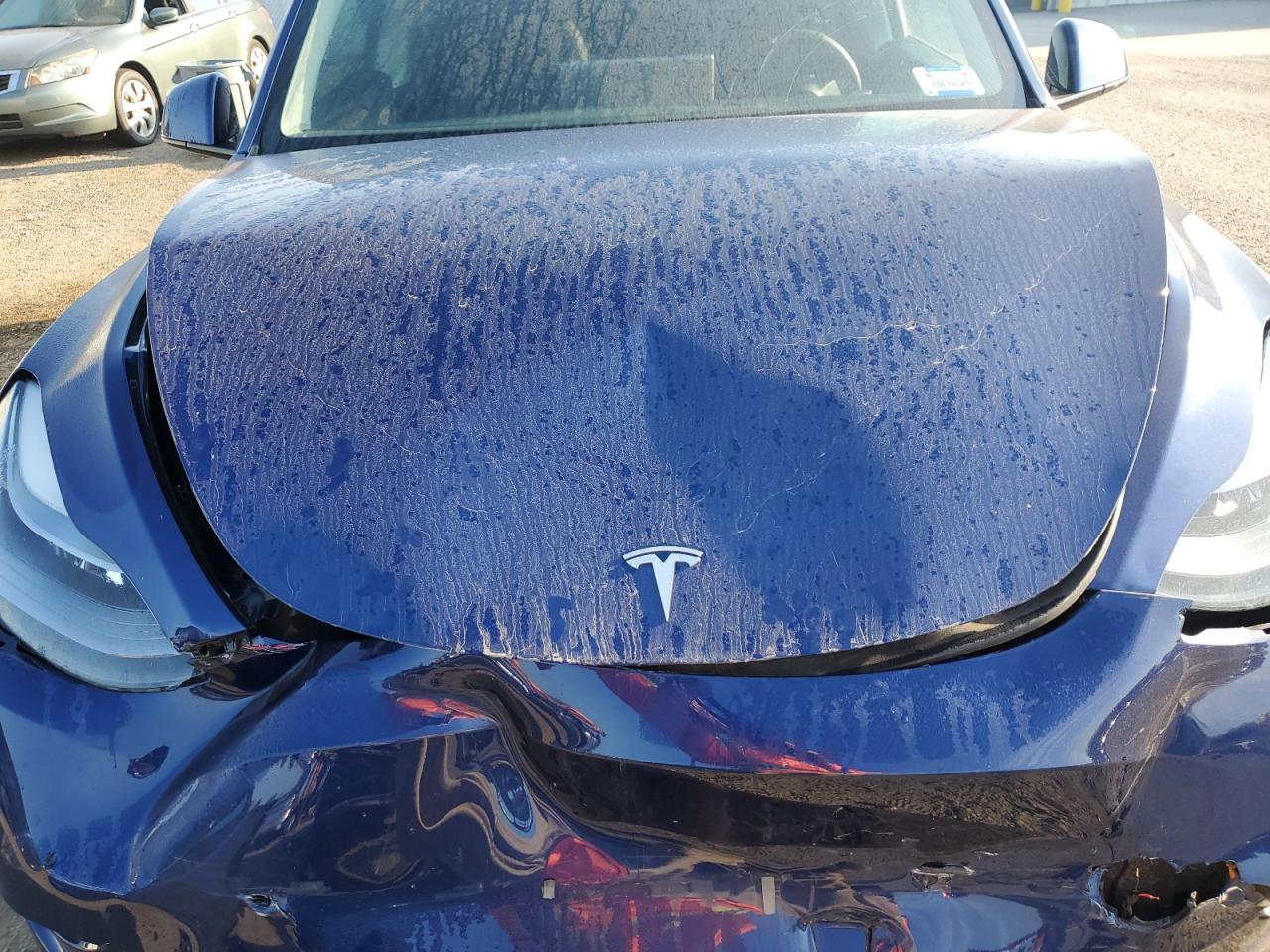 2023 Tesla Model Y VIN: 7SAYGDEE3PA196568 Lot: 80617585