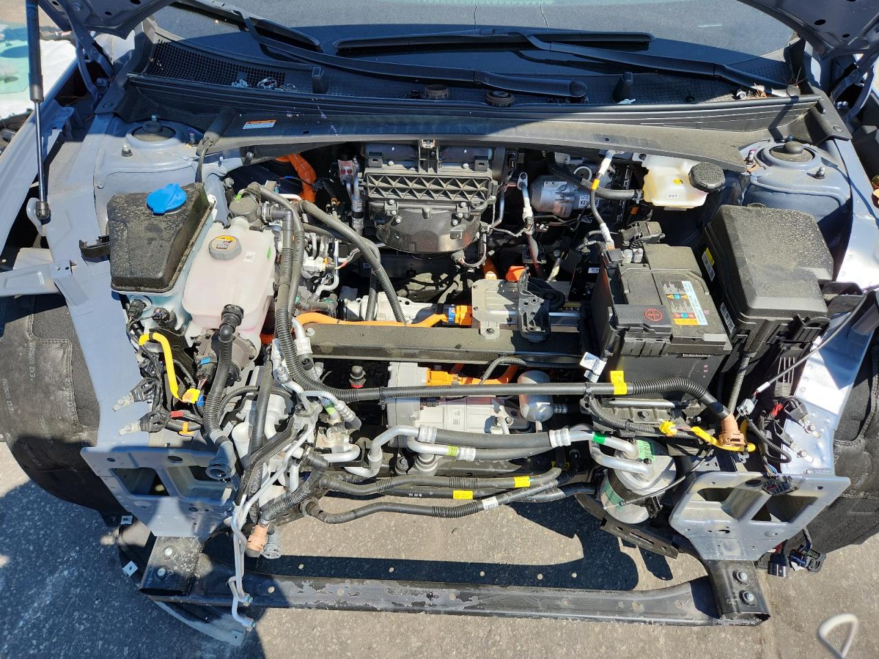 2025 Hyundai Ioniq 6 Sel VIN: KMHM34AA7SA090568 Lot: 81010455