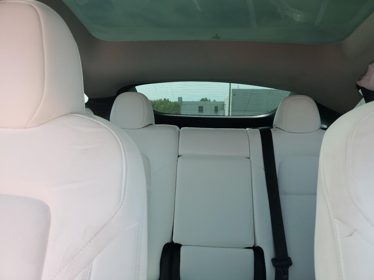 2024 Tesla Model Y VIN: 7SAYGDEE4RA280076 Lot: 81590925