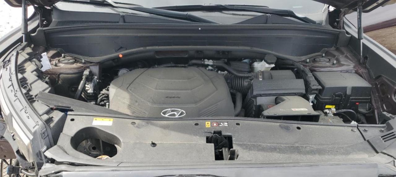 2023 Hyundai Palisade Sel Premium VIN: KM8R4DGE7PU544725 Lot: 80368265