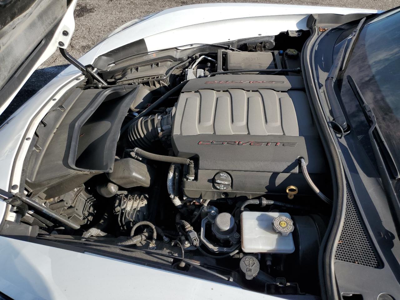C7 C7