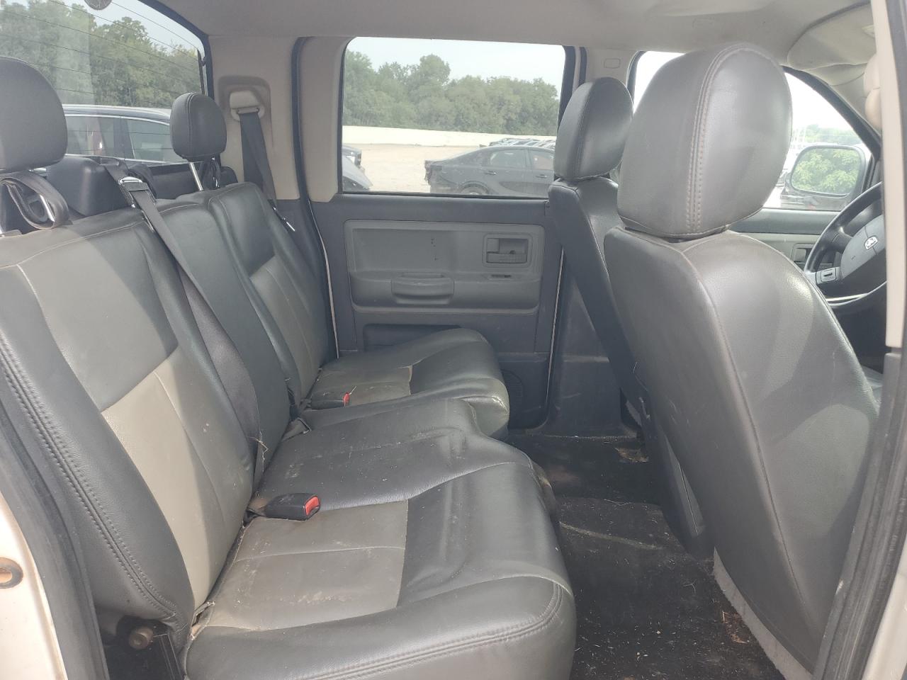 2011 Dodge Dakota Slt VIN: 1D7RE3GK8BS682785 Lot: 71598205
