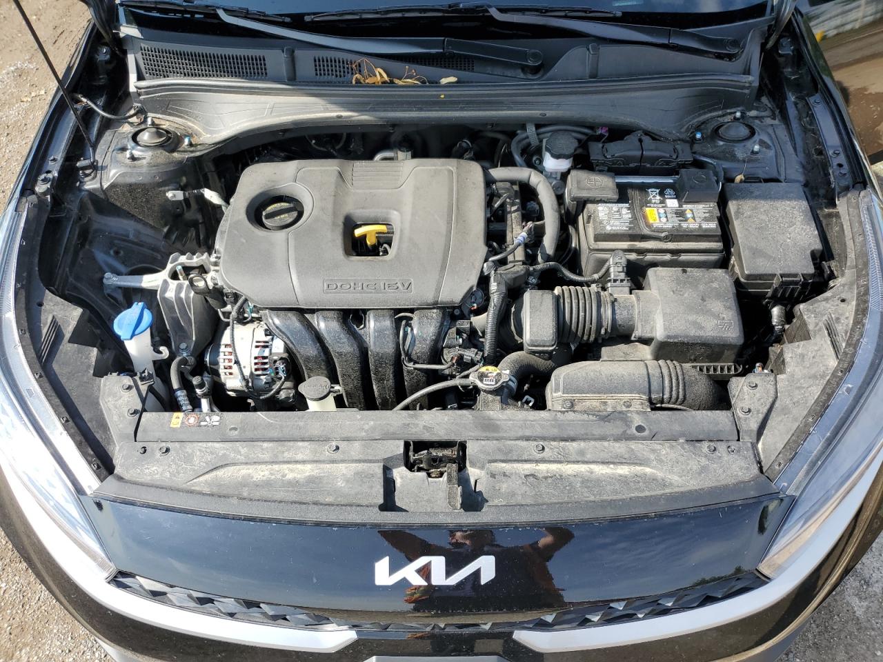 2024 Kia Forte Lx VIN: 3KPF24AD6RE808774 Lot: 81427515