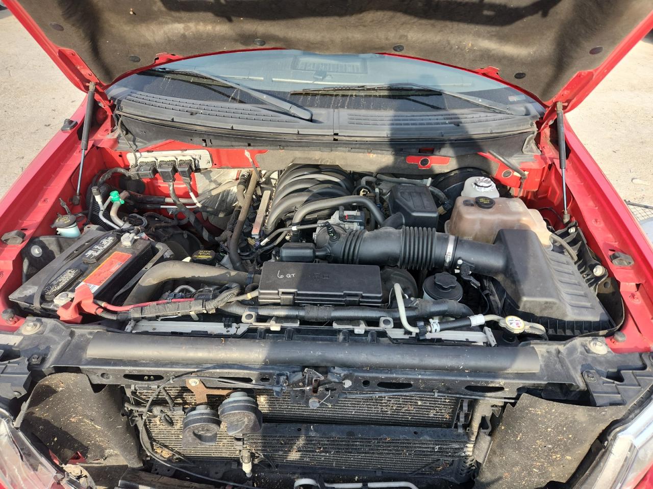 2010 Ford F150 Supercrew VIN: 1FTEW1C81AFB66733 Lot: 80113465