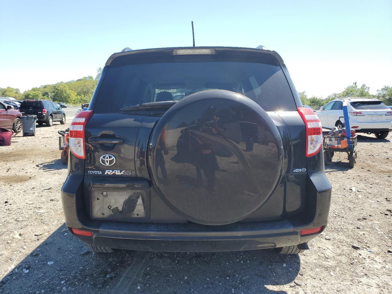 2010 Toyota Rav4 VIN: 2T3BK4DV0AW015384 Lot: 71964755