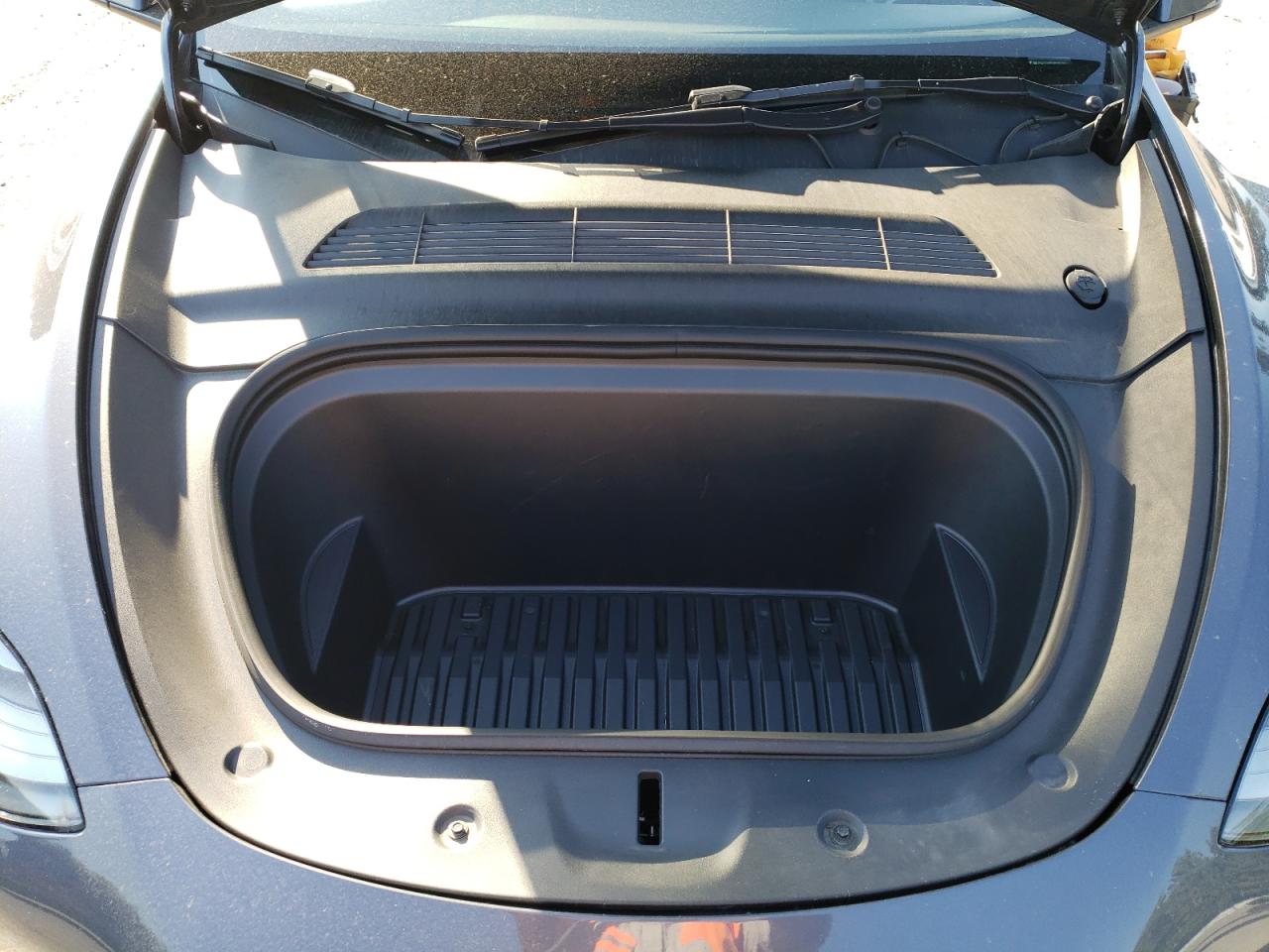 2023 Tesla Model Y VIN: 7SAYGDEE0PF805831 Lot: 80699295