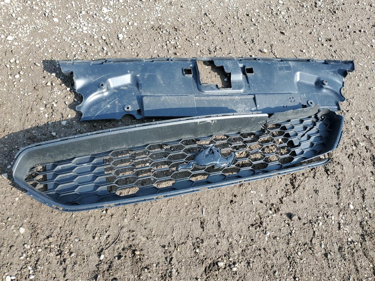 2022 Ford Mustang VIN: 1FATP8UH1N5114807 Lot: 82098975