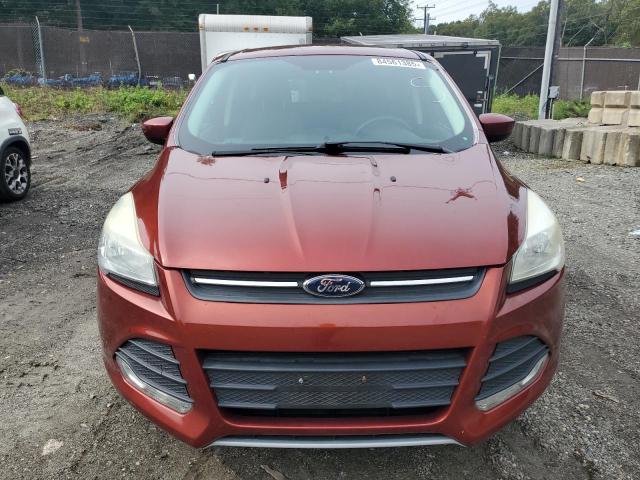 Паркетники FORD ESCAPE 2016 Красный
