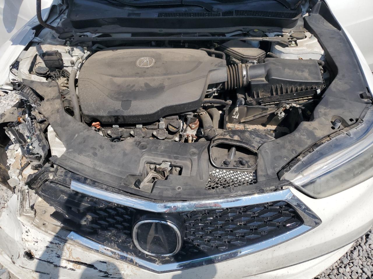 2019 Acura Tlx VIN: 19UUB2F33KA004891 Lot: 72044995