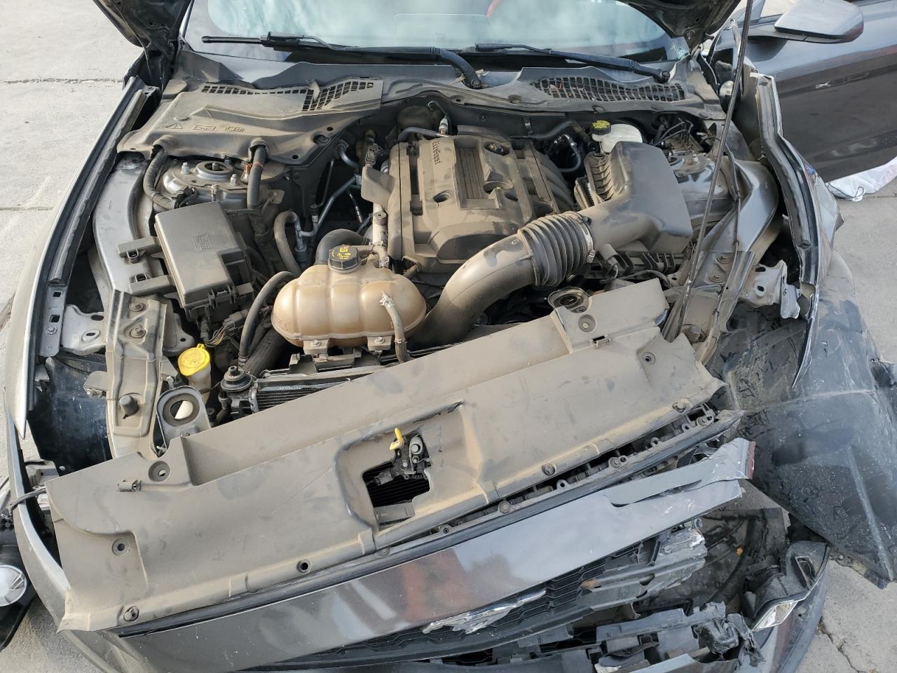 2015 Ford Mustang VIN: 1FA6P8TH6F5396393 Lot: 81162535