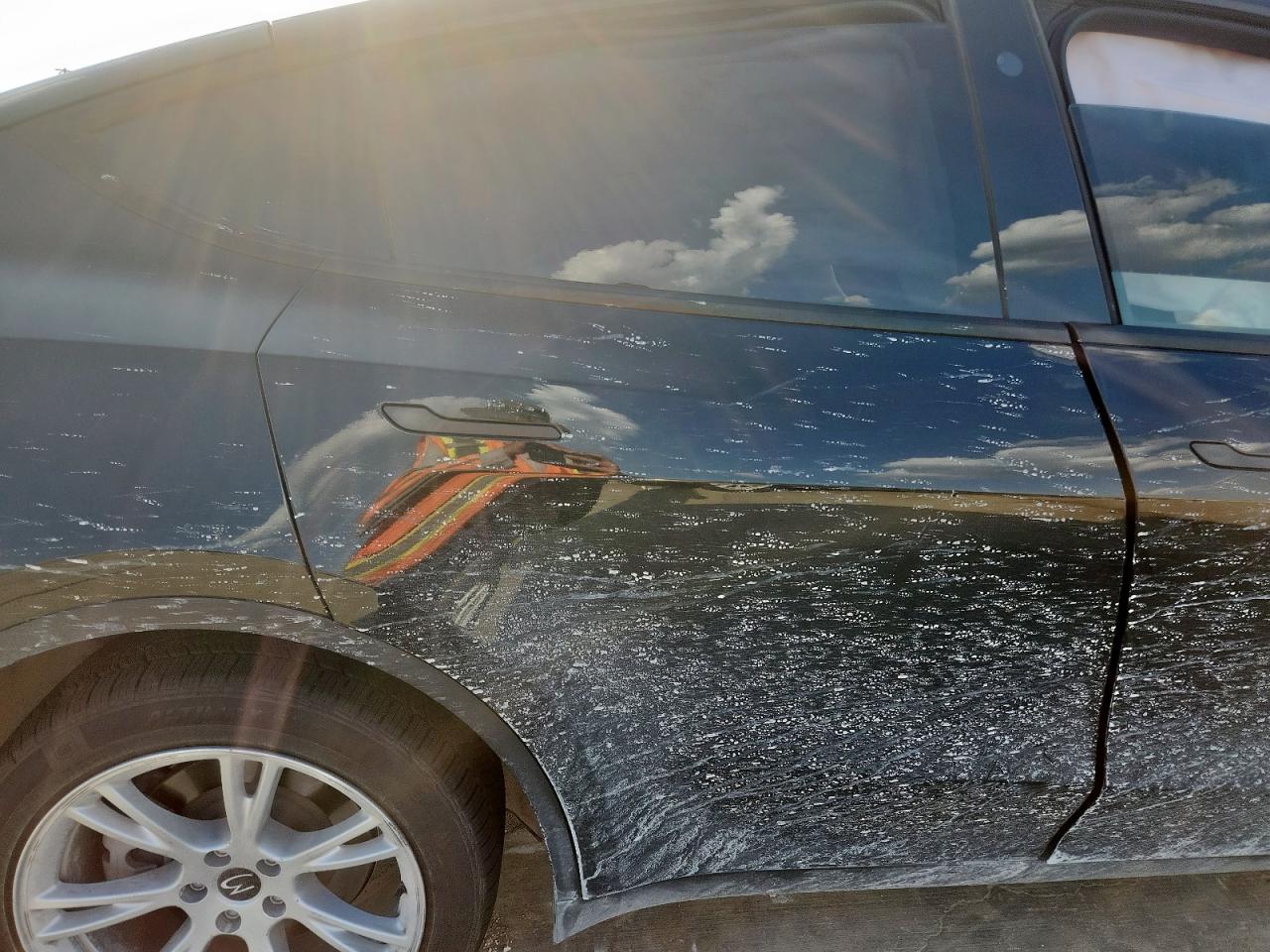 2023 Tesla Model Y VIN: 7SAYGDEE7PA088731 Lot: 80962775