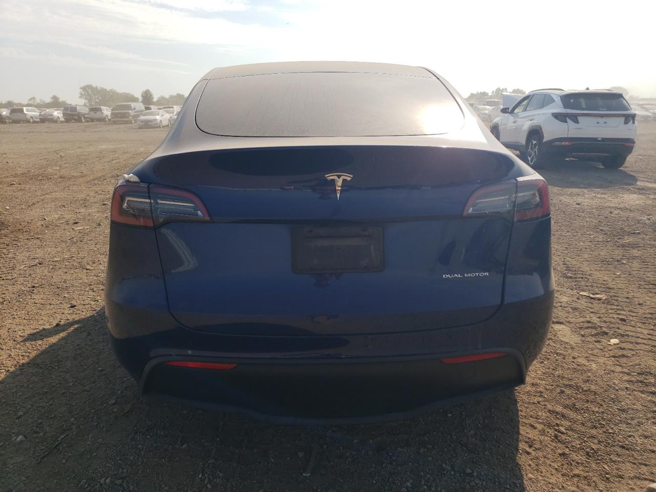 2023 Tesla Model Y VIN: 7SAYGDEE2PF714267 Lot: 80869715