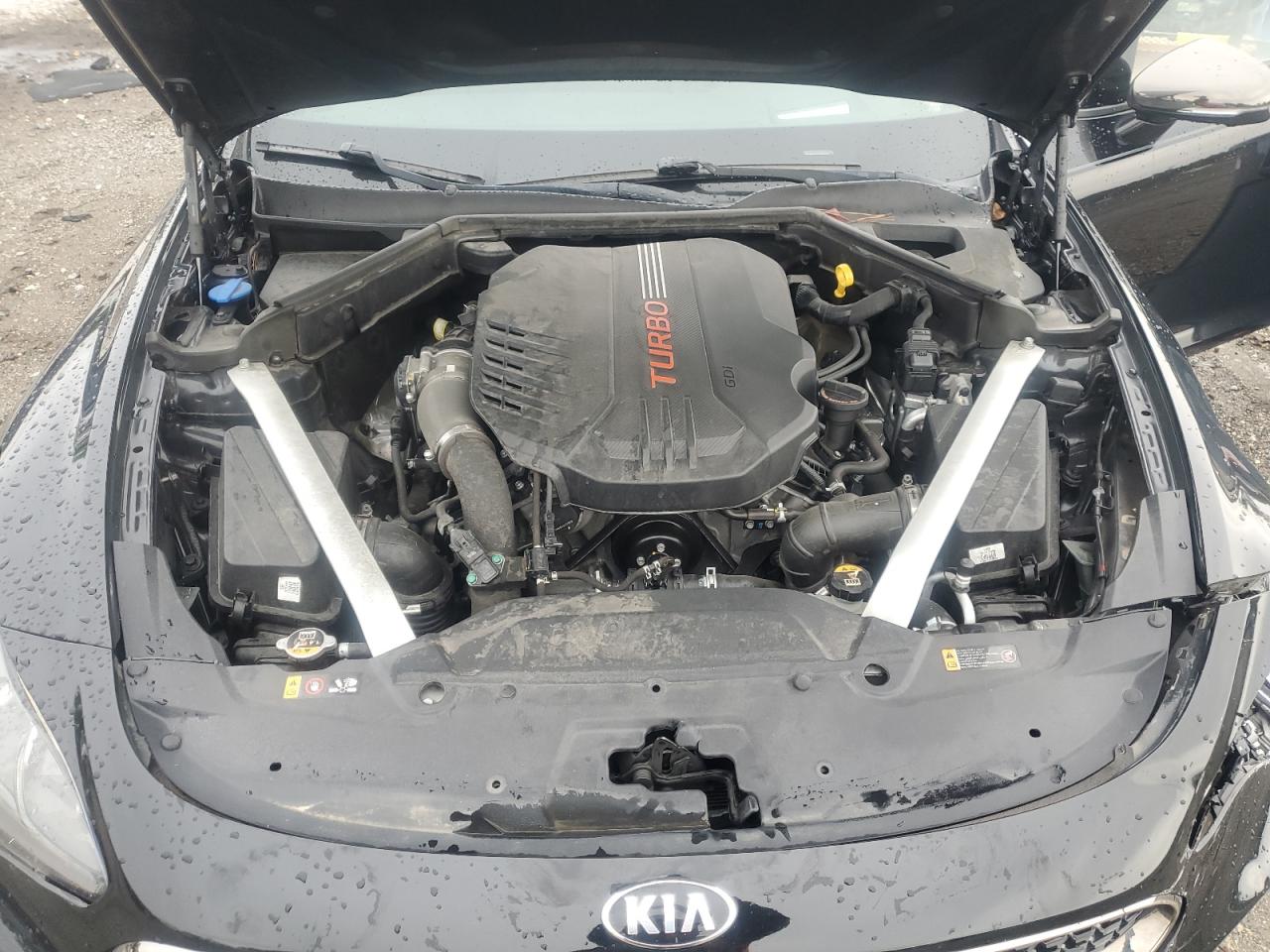 2019 Kia Stinger Gt2 VIN: KNAE55LC6K6057908 Lot: 80959035