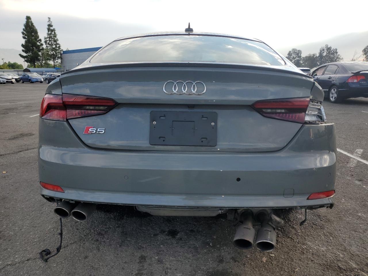 2019 Audi S5 Premium Plus VIN: WAUB4CF59KA016693 Lot: 81469125