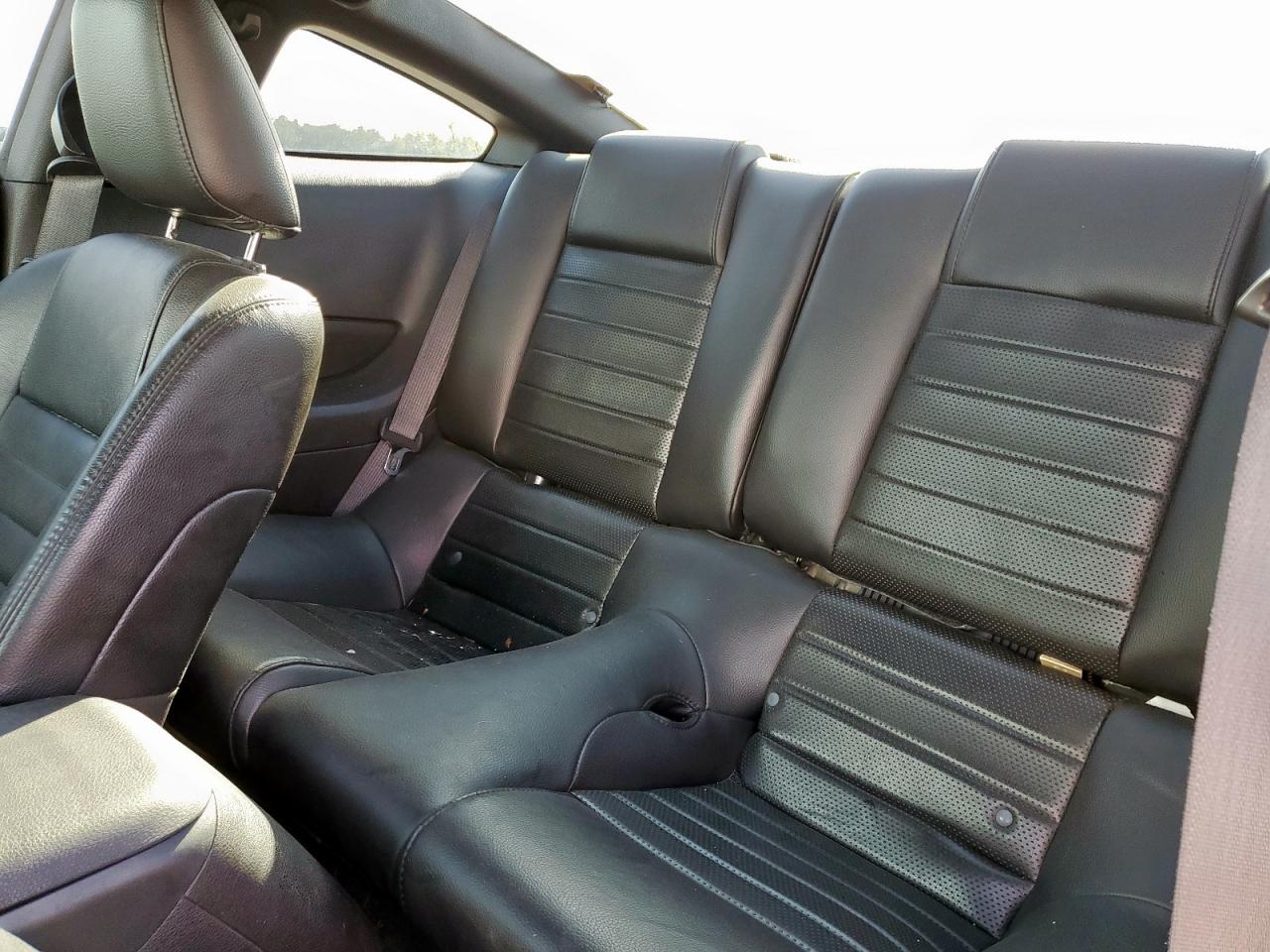 2009 Ford Mustang Gt VIN: 1ZVHT82H195106031 Lot: 81744055