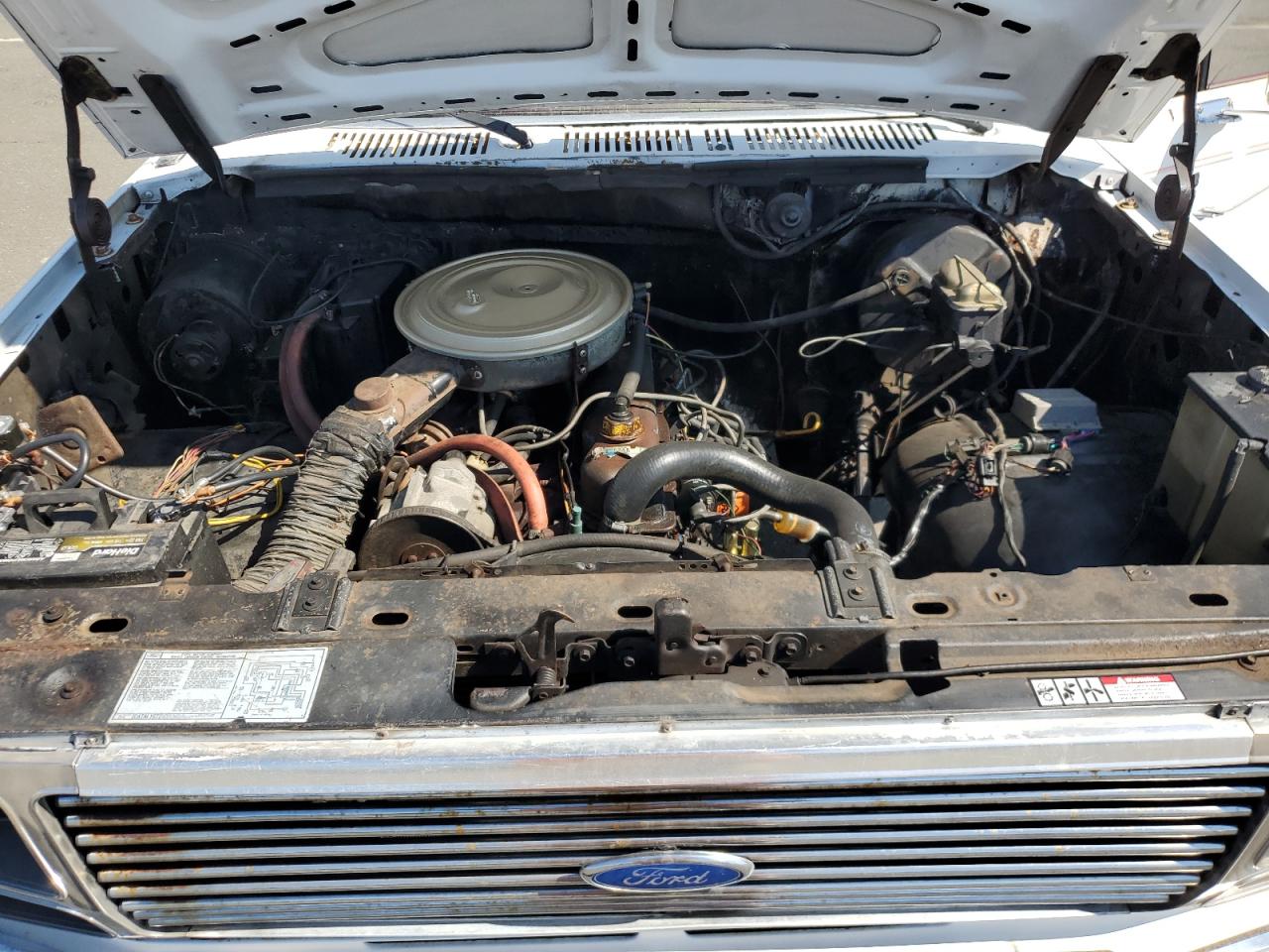 1983 Ford F150 VIN: 2FTDF15Y9DCA66484 Lot: 81189425