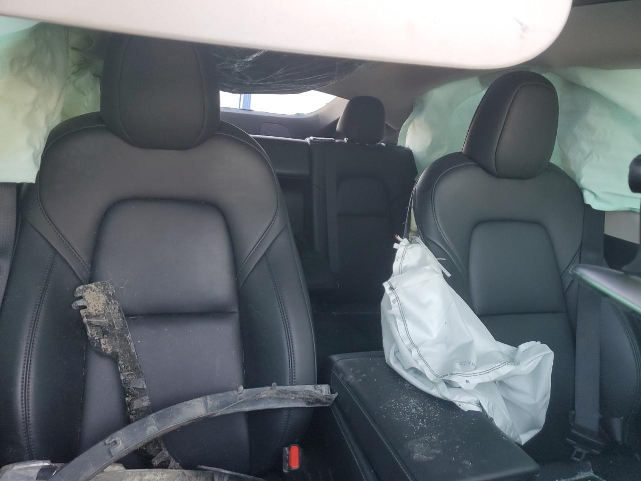 2024 Tesla Model Y VIN: LRWYGDEE8RC670723 Lot: 81564565