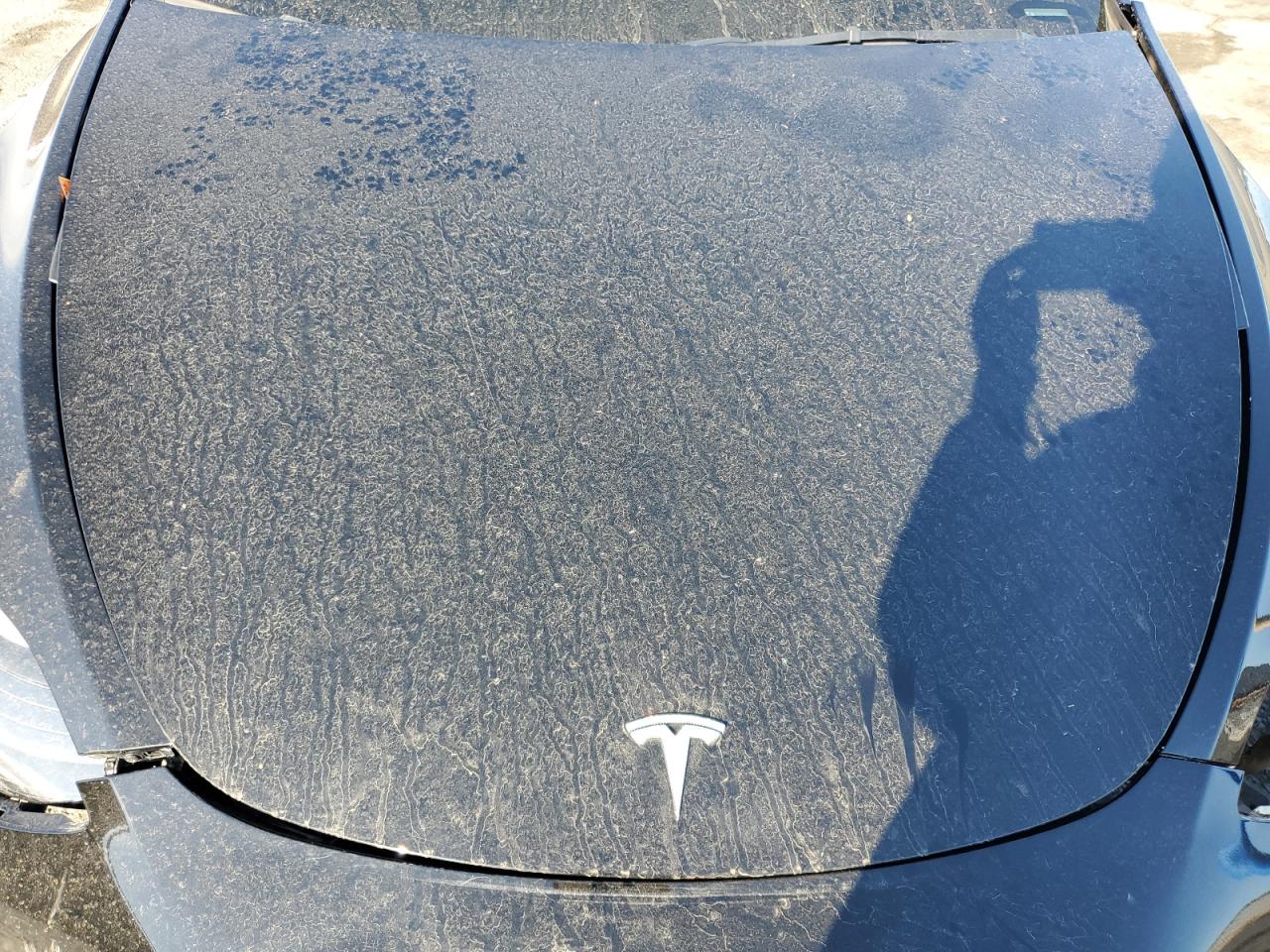 2023 Tesla Model Y VIN: 7SAYGDEF8PF762980 Lot: 80405965