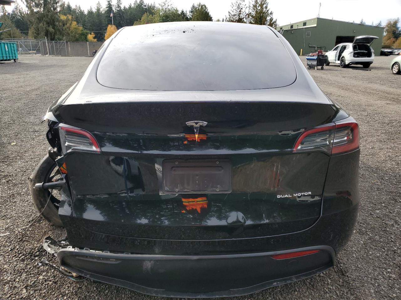2023 Tesla Model Y VIN: 7SAYGAEE9PF969741 Lot: 81771685