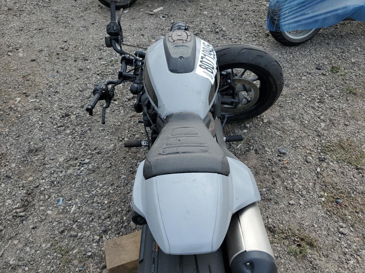 2024 Harley-Davidson Rh1250 S VIN: 1HD1ZC41XRB308937 Lot: 80719945