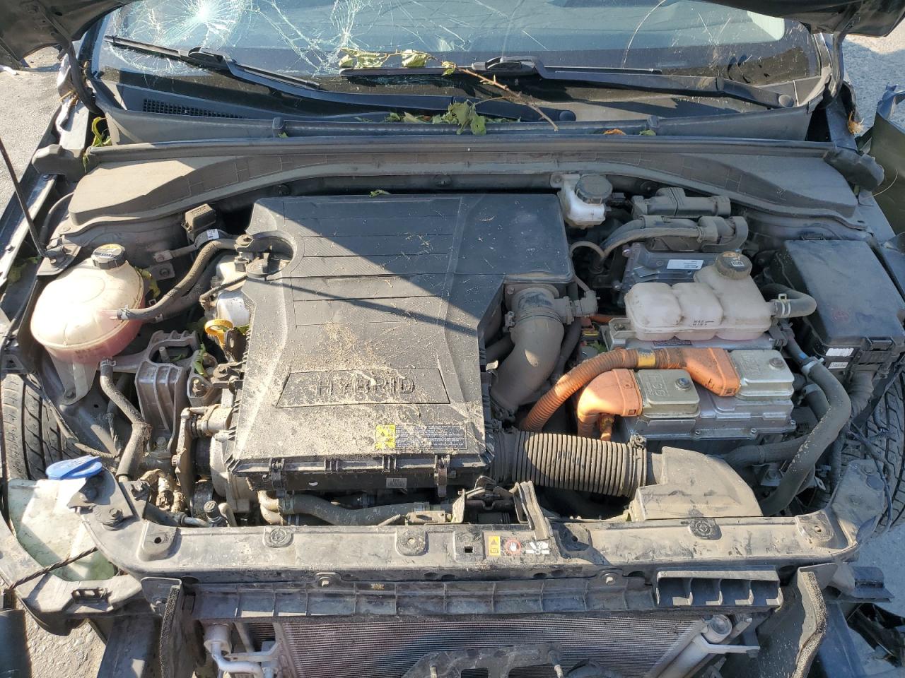 2021 Hyundai Ioniq Limited VIN: KMHC05LC8MU261242 Lot: 71490995