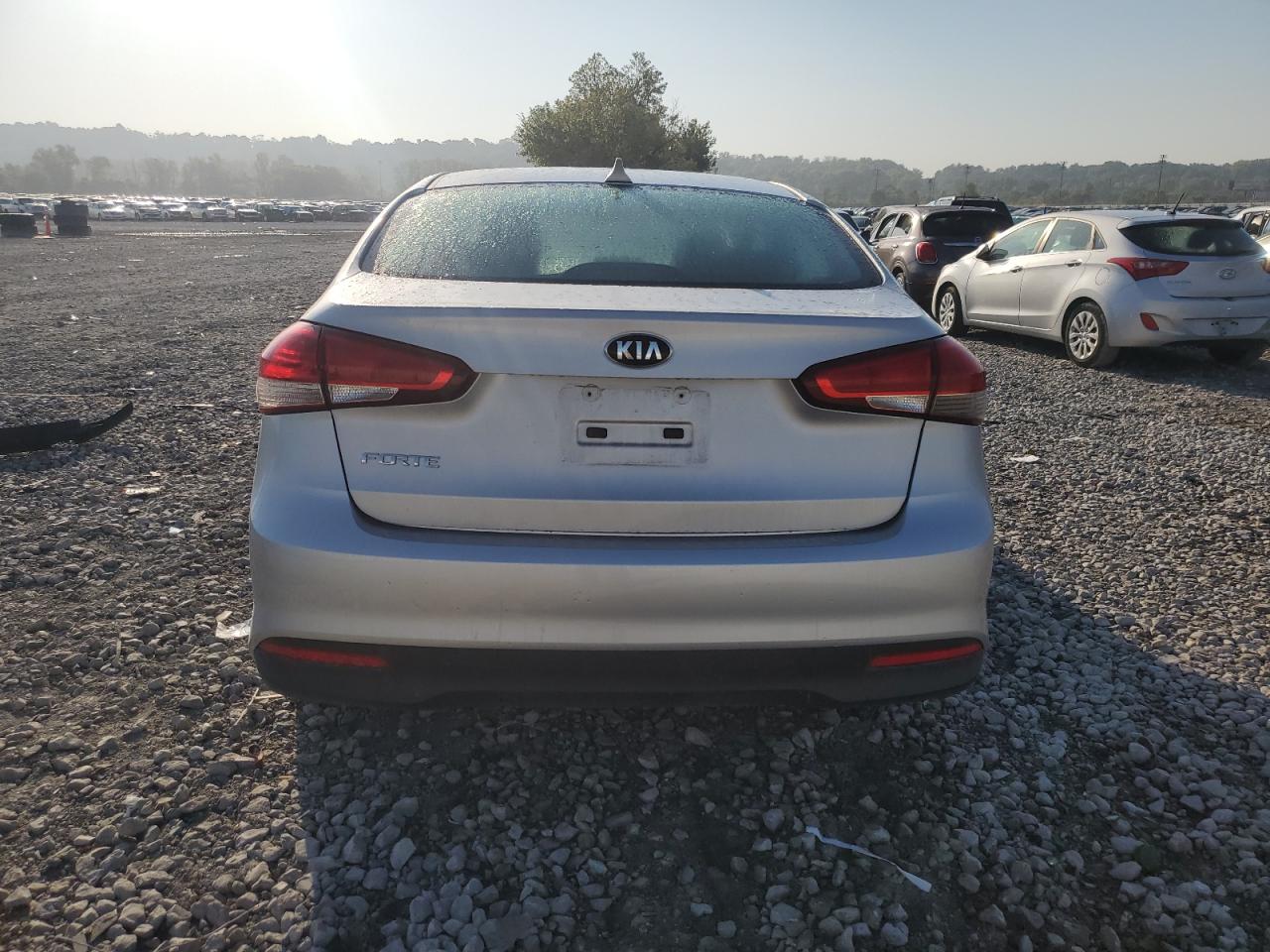 2017 Kia Forte Lx VIN: 3KPFK4A79HE078044 Lot: 84393565