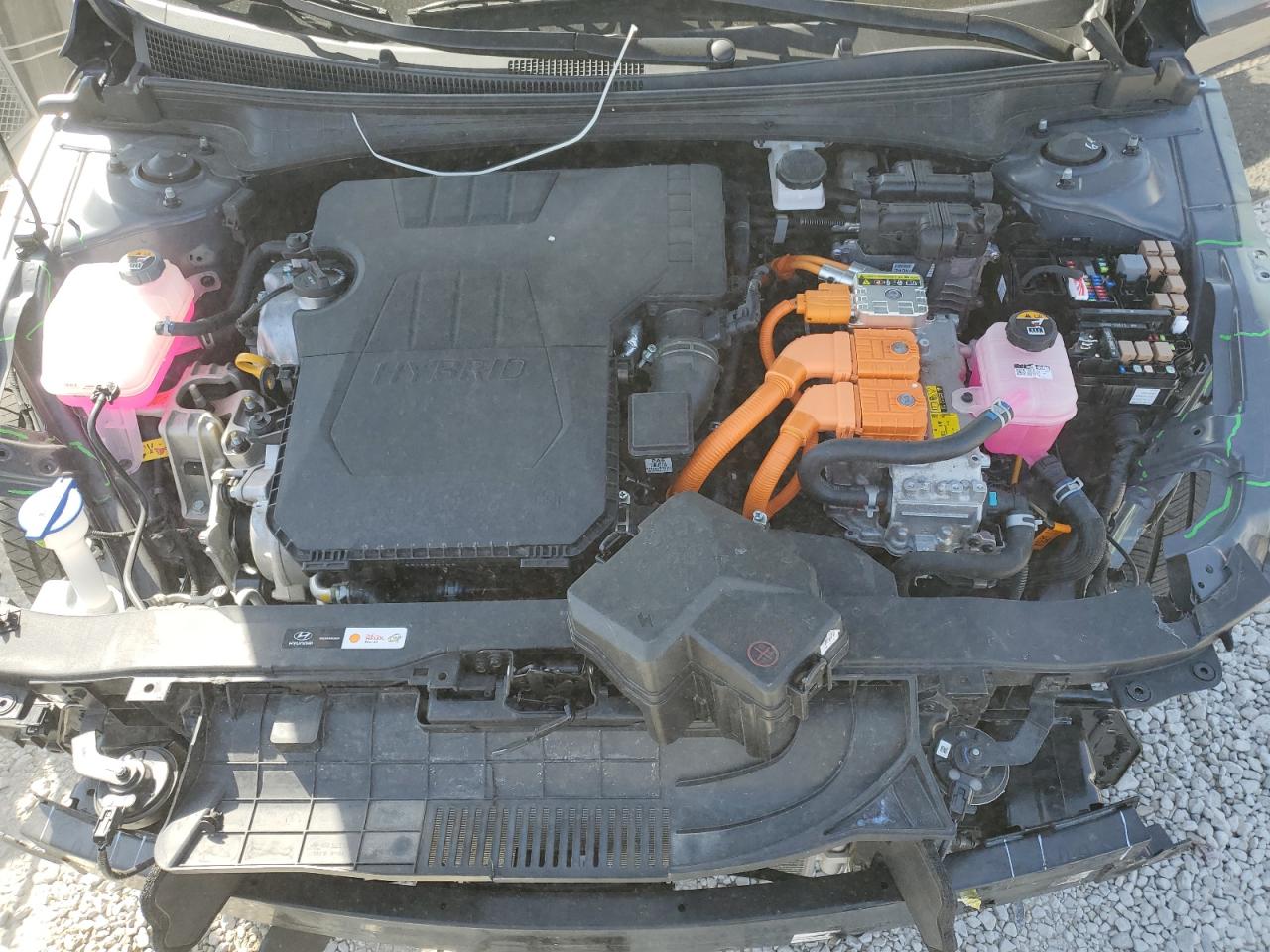 2024 Hyundai Elantra Limited VIN: KMHLN4DJ2RU116942 Lot: 81558795