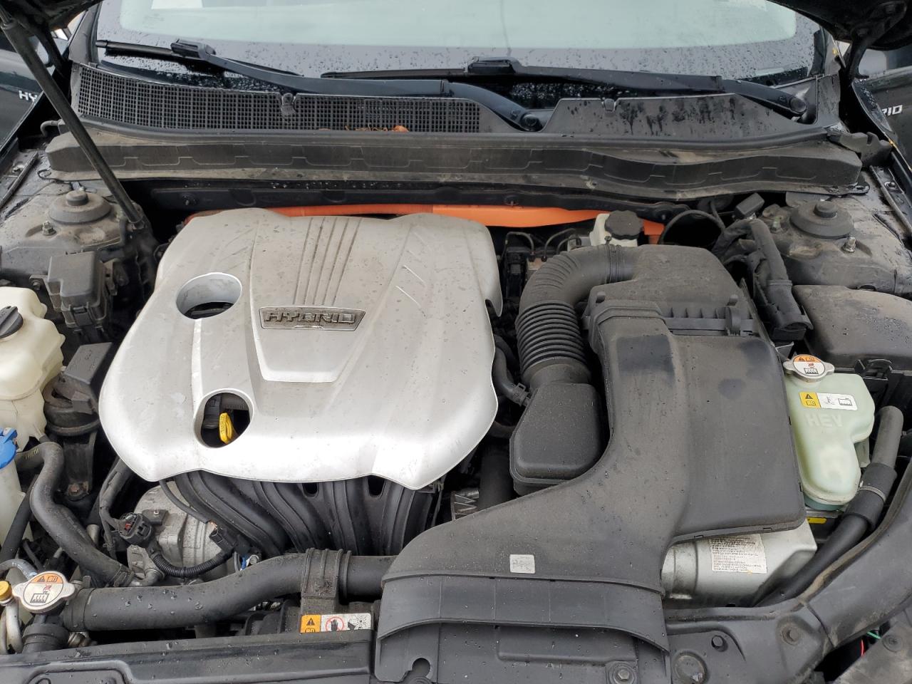 2013 Kia Optima Hybrid VIN: KNAGM4AD7D5059564 Lot: 82145875