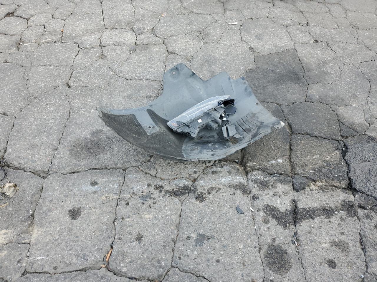 2023 Tesla Model Y VIN: 7SAYGDEE4PA184090 Lot: 80556985