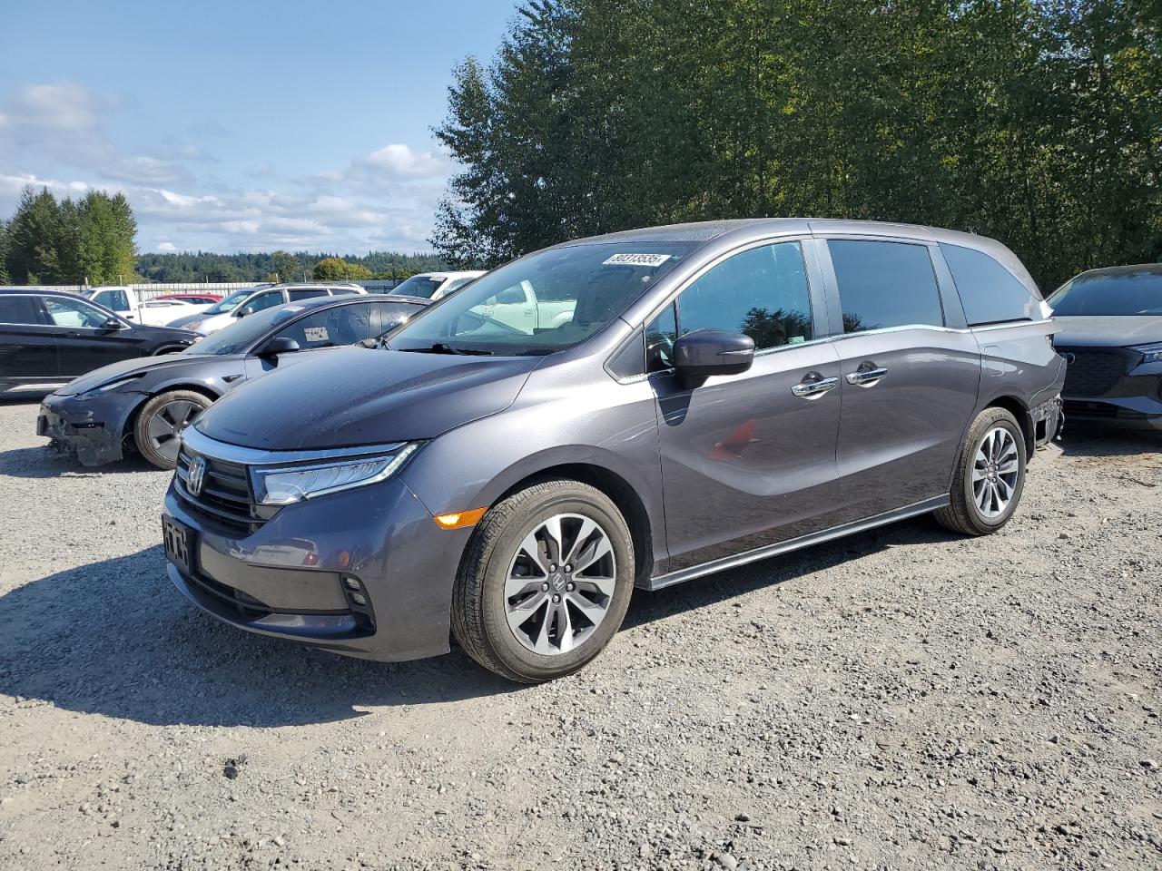 2022 Honda Odyssey Exl