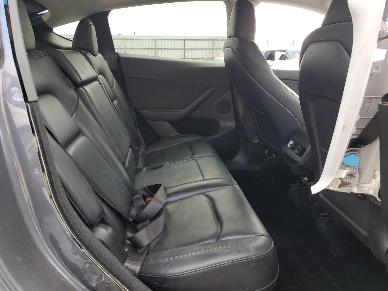 2023 Tesla Model Y VIN: 7SAYGDEE1PF910670 Lot: 81684615