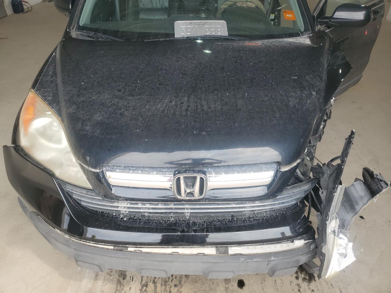 2009 Honda Cr-V Exl VIN: JHLRE48709C006056 Lot: 81475955