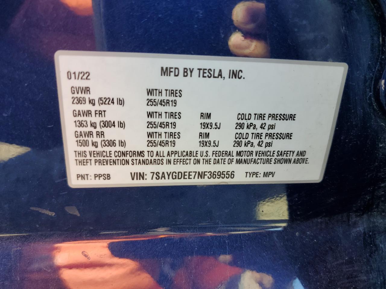 2022 Tesla Model Y VIN: 7SAYGDEE7NF369556 Lot: 81505295