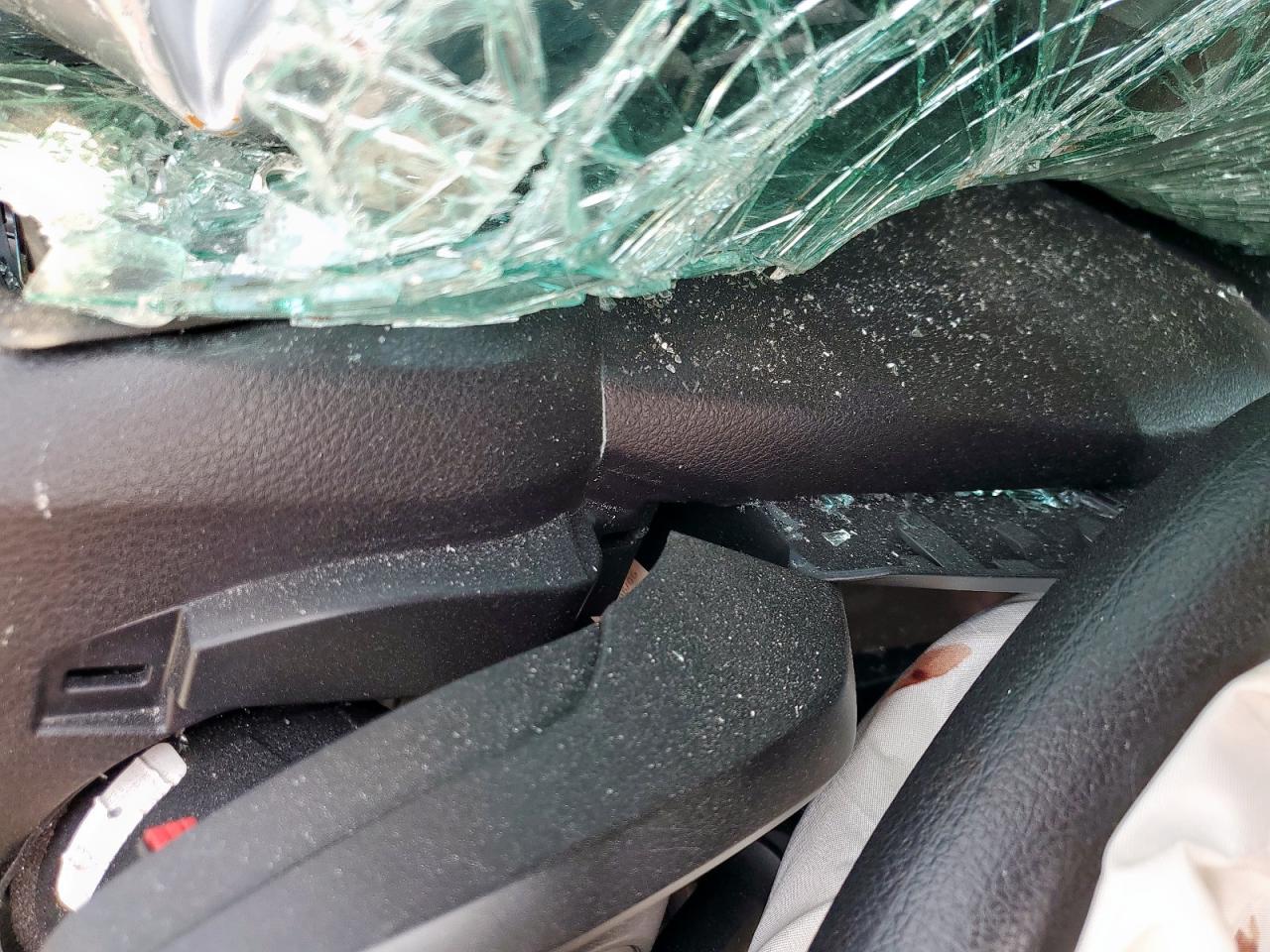 2023 Toyota Tacoma Double Cab VIN: 3TYAX5GN7PT081945 Lot: 84749075