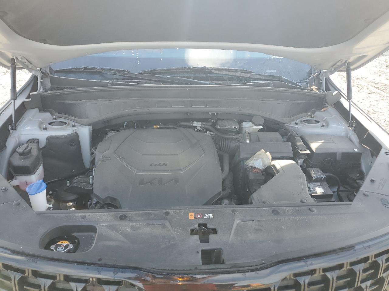 2024 Kia Telluride Ex VIN: 5XYP3DGC6RG478556 Lot: 81651785