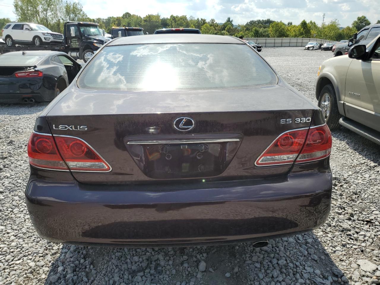 2005 Lexus Es 330 VIN: JTHBA30G955078760 Lot: 69993235