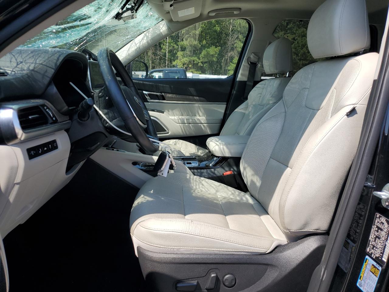 2021 Kia Telluride Ex VIN: 5XYP3DHC1MG101821 Lot: 80678215