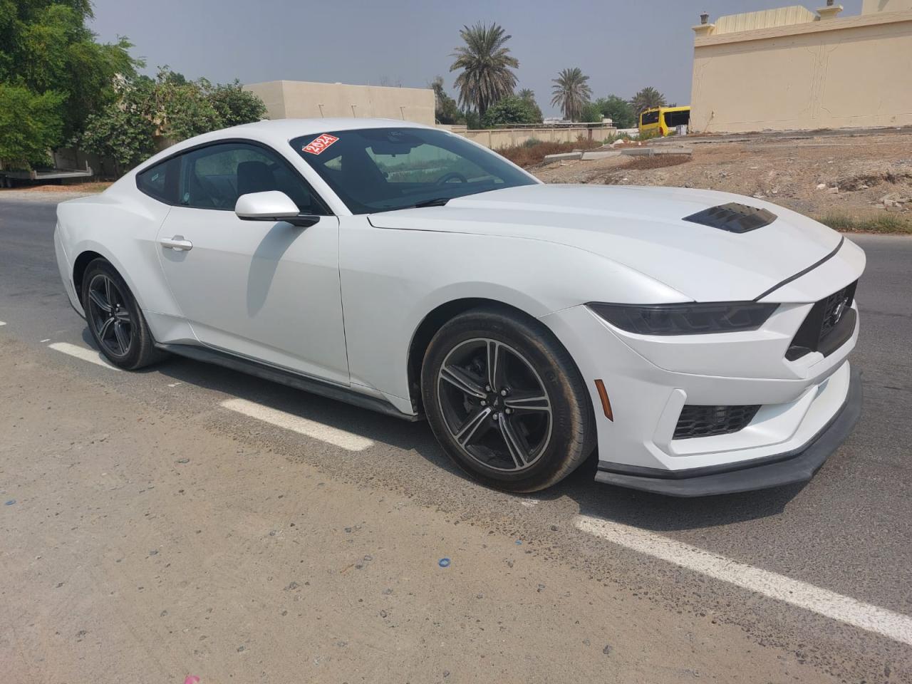 1FA6P8TH0R5106914 - 2024 Ford MUSTANG - #84179085