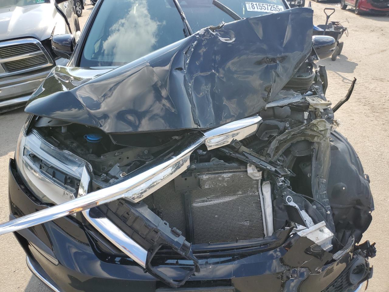 2021 Honda Pilot Elite VIN: 5FNYF6H0XMB002161 Lot: 81557255