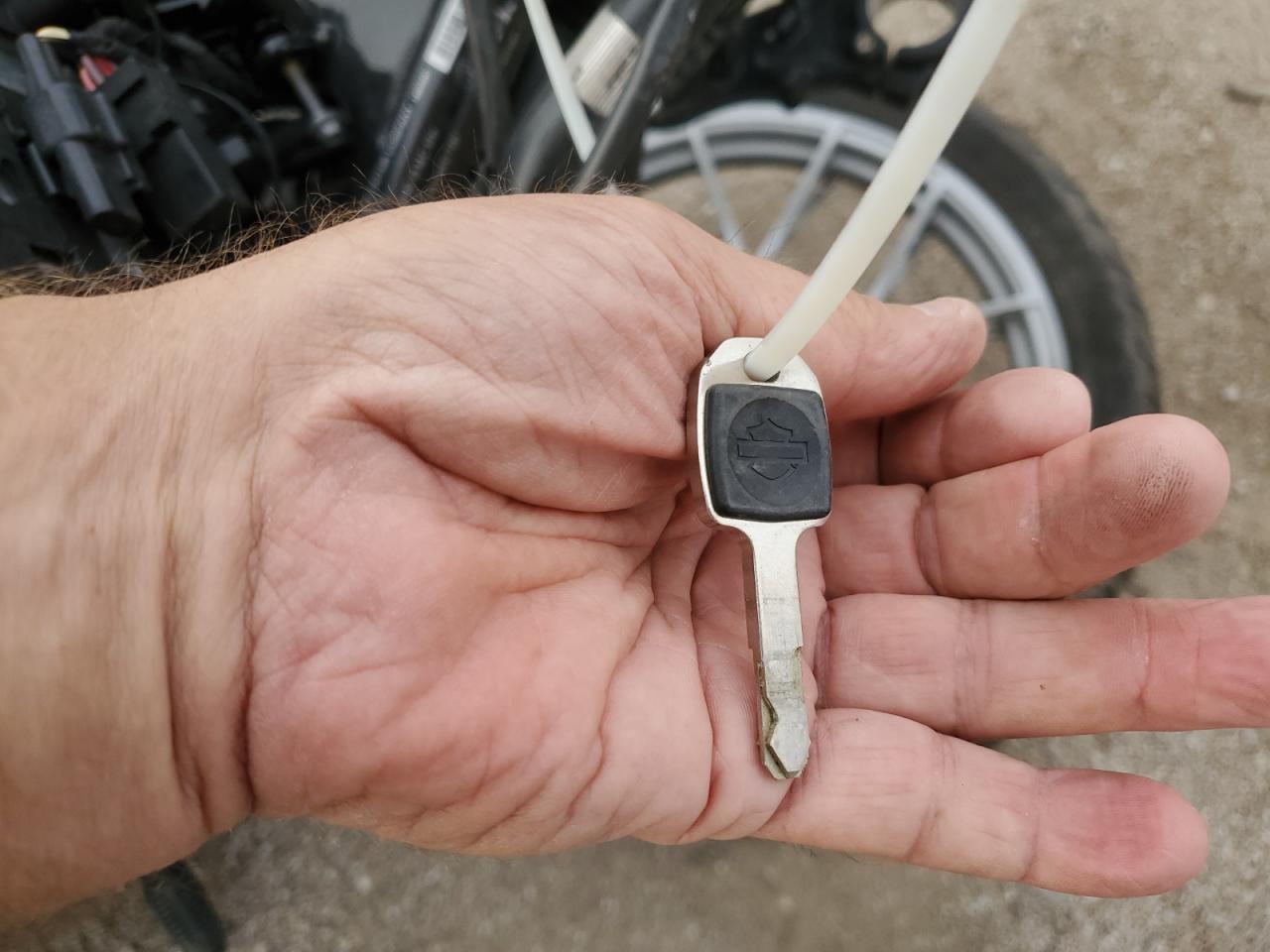 2023 Harley-Davidson Rh975 S VIN: 1HD1ZF110PB314958 Lot: 84214205