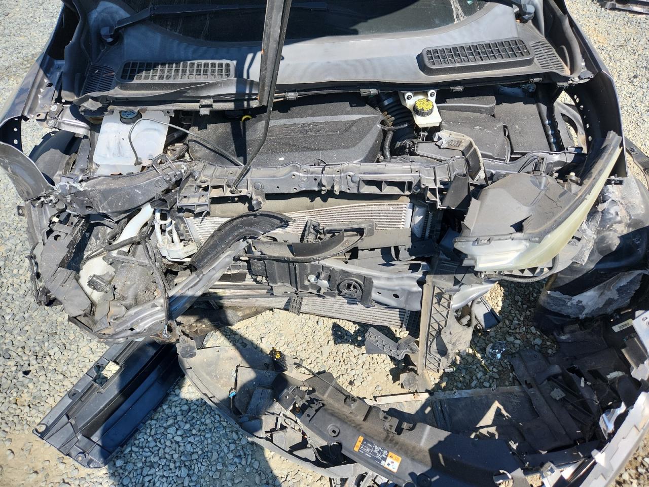 2014 Ford Escape Se VIN: 1FMCU0GX1EUD70194 Lot: 81667455